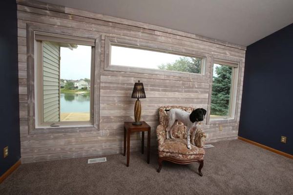 Well's accent wall in charred wood smoke white shiplap_after installation_dog in chair